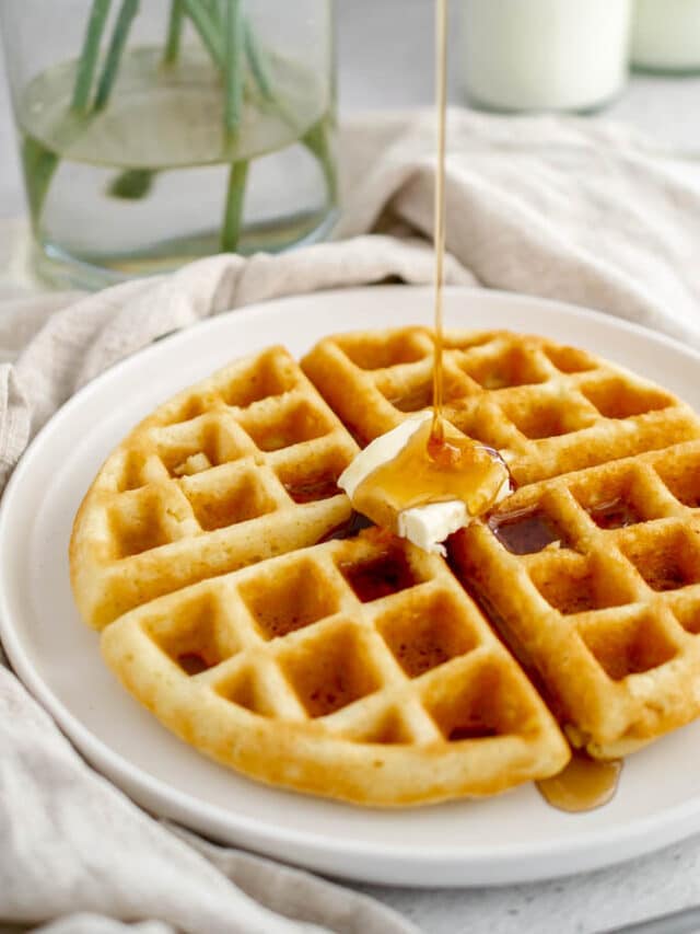 Gluten Free Dairy Free Belgian Waffles