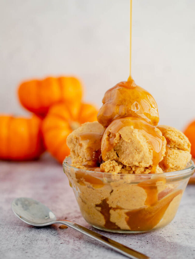 Keto Dairy Free Pumpkin Ice Cream