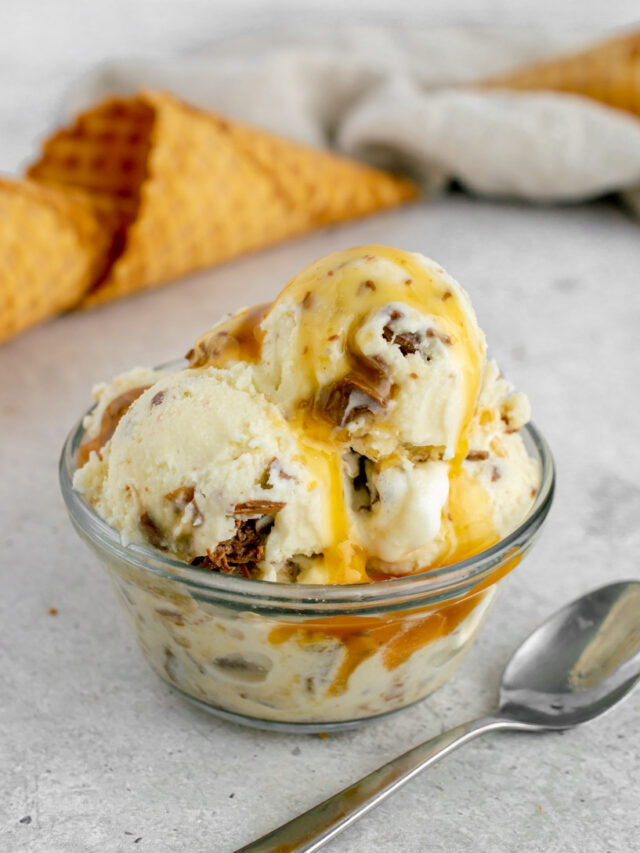 Turtle Ice Cream