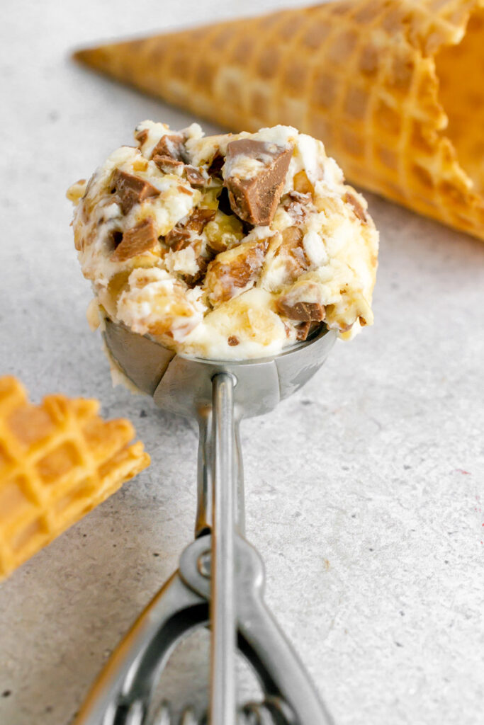 turtle ice cream in a ice cream scoop