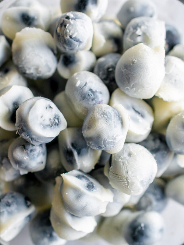 Yogurt Covered Blueberries