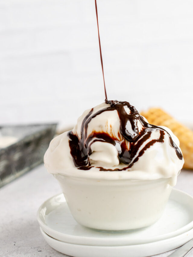 Vegan Gelato