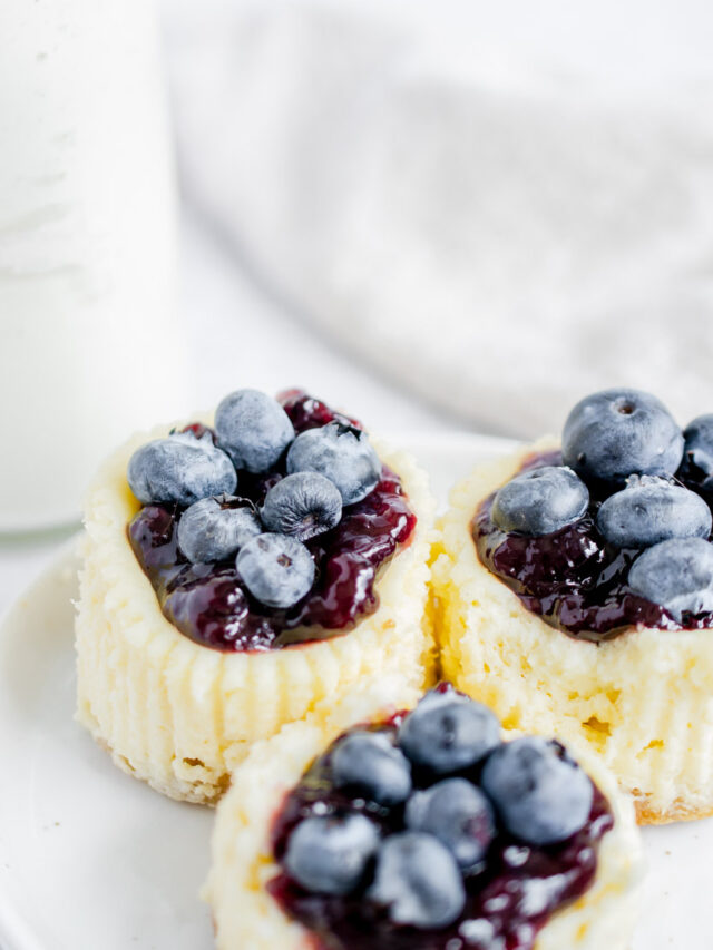 Mini Blueberry Cheesecake