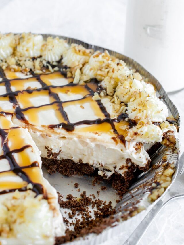 Turtle Pie