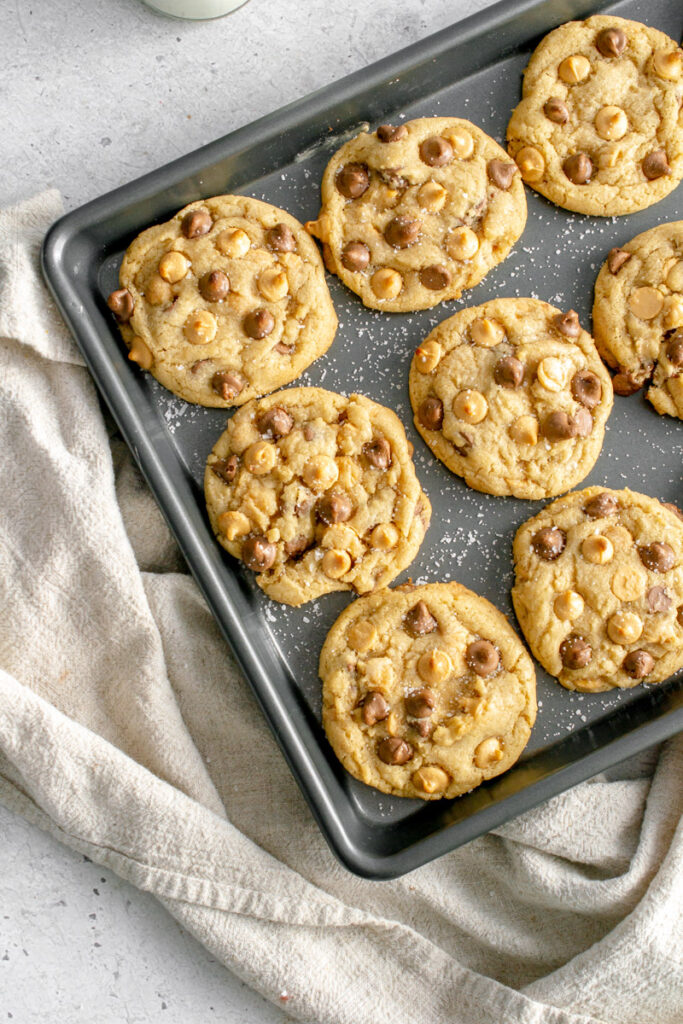 butterscotch chocolate chip cookies on a cookie tray